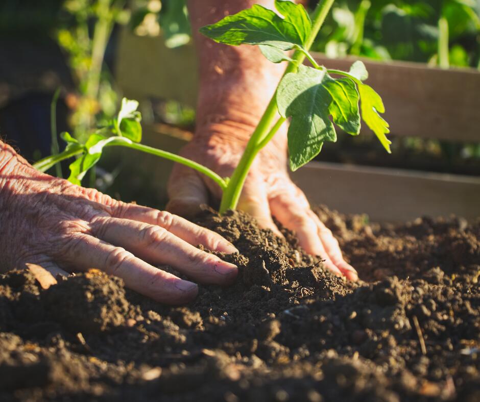 Comment prévenir les blessures de jardinage ?